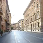 Navona Flowers
